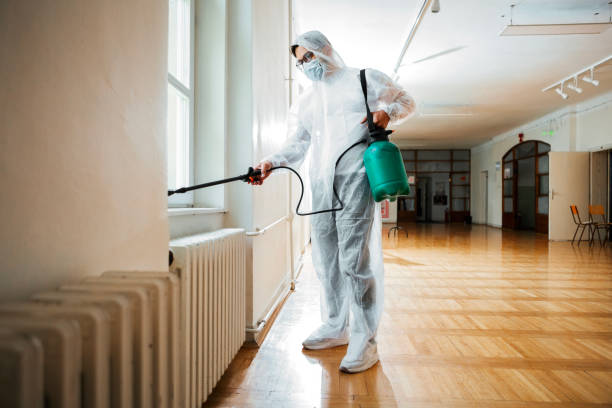 Best Fumigation Services  in Rangely, CO